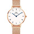 Часы Daniel Wellington Petite Roman Numerals DW00100681